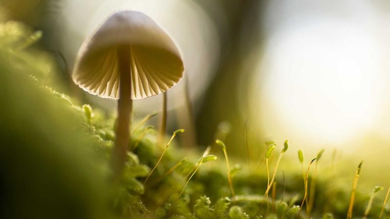 海角社区网站：邻里互助新模式让社区更有温度